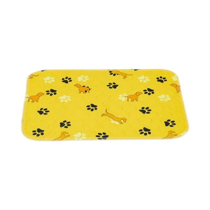 pet-activity-mat52521509272